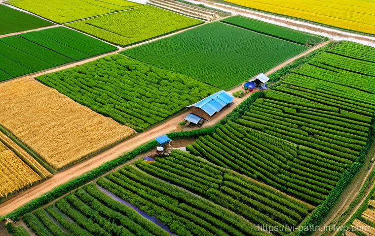자원순환 경제에서의 혁신 사례 - Prompt 1: Sustainable Agricultural Transformation in Rural Vietnam**